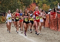 2010CIF XC GD3-0468